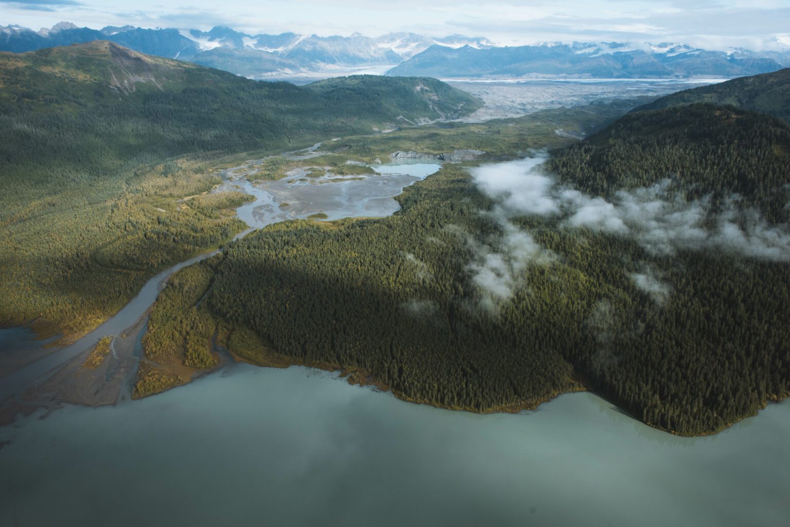 Land Sea Connection - Native Conservancy